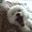 Photo of Qype User (Bubble…)