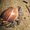Photo of Qype User (rosewa…)