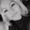 Photo of Krystal P.