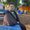 Photo of Nick S.