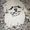 Photo of Baxter 0.
