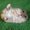 Photo of Qype User (mar40e…)