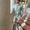 Photo of Rishabh S.
