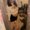 Photo of Azucena M.