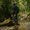 Photo of Heike O.