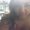Photo of Lorena V.