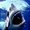 Photo of The Shark S.