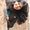 Photo of Shraddha S.