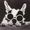 Photo of Qype User (Admira…)