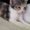 Photo of Jazmin M.
