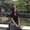 Photo of Mandy T.