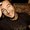 Photo of Matt T.