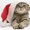 Photo of Cathy G.