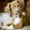 Photo of Shirl M.