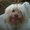 Photo of Qype User (ebi_ni…)