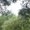 Photo of Hector H.