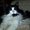 Photo of Crissy M.
