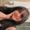 Photo of Karen M.