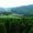 Photo of Watauga M.