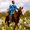 Photo of Jingo Django J.