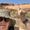 Photo of Michelle S.
