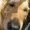 Photo of Qype User (Derwis…)