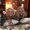 Photo of Joeann M.