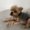 Photo of Riley S.