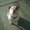 Photo of Jorge M.