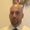Photo of Aaron M.