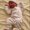 Photo of Lynelle S.