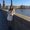 Photo of Neethi J.