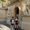 Photo of Phuong V.