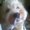 Photo of Lizza A.
