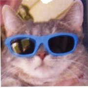 google avatar