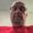 Photo of Gary C.
