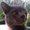 Photo of Pip K.