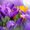Photo of Rosalie G.