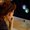 Photo of Qype User (serra…)