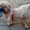Photo of Qype User (ladylu…)