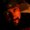 Photo of Zach H.