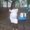 Photo of Chasani M.