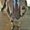 Photo of MR. E.