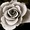 Photo of Mrs. S.