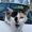 Photo of Emalyn M.
