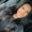 Photo of Megan S.