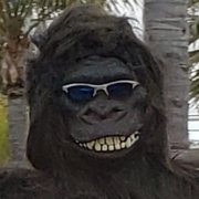google avatar