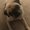 Photo of Nanalyn D.