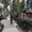 Photo of Eliso