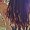 Photo of Vesha R.